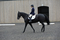 dressage-5905