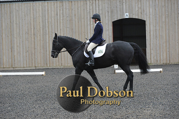 dressage-5905
