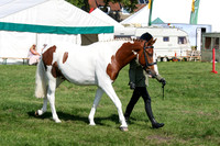 c41_2061