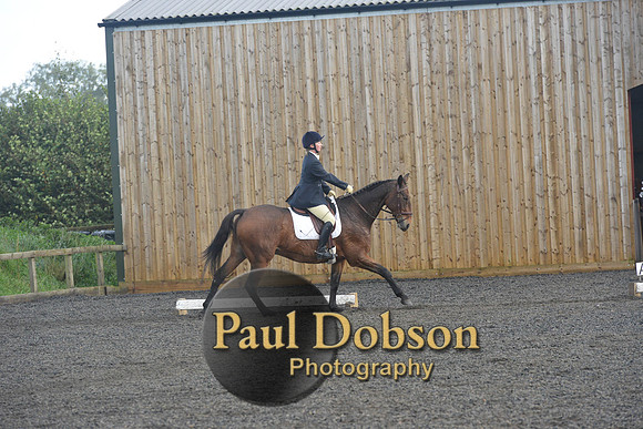 dressage-7284