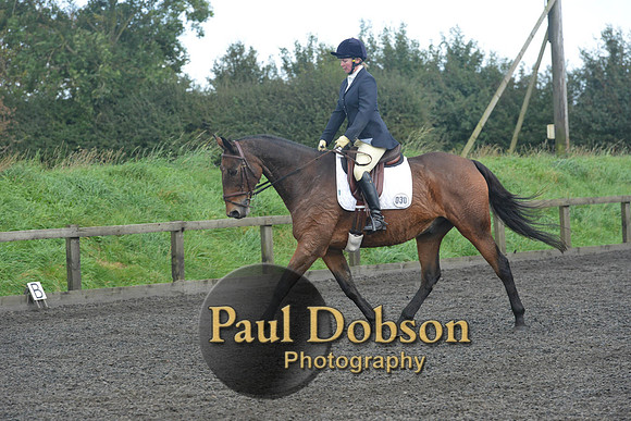 dressage-7267
