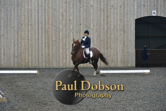 dressage-5440