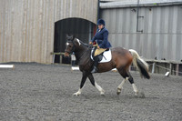 dressage-5704