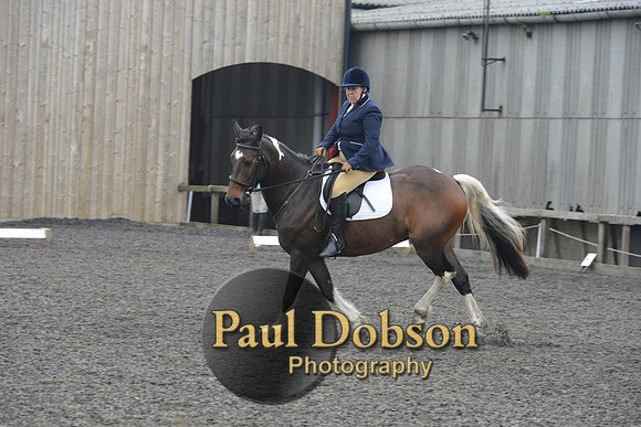 dressage-5704