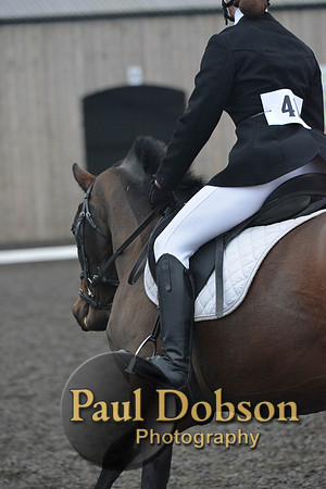 dressage-5872