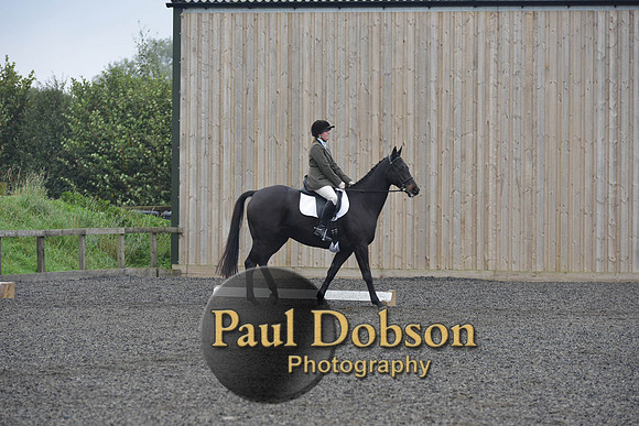 dressage-5218