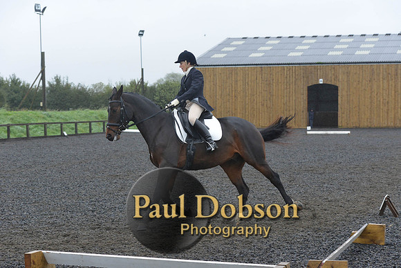dressage-6594