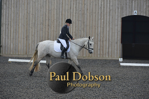 dressage-4545