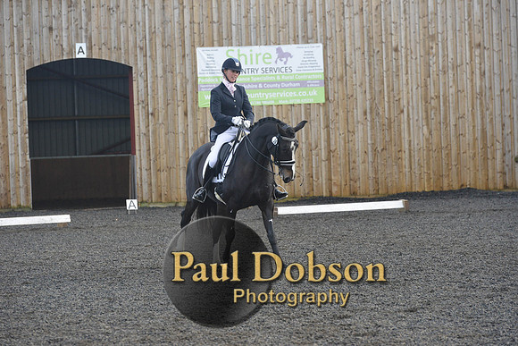 dressage-7285