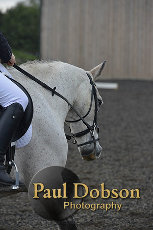 dressage-4555