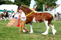 c05_2648