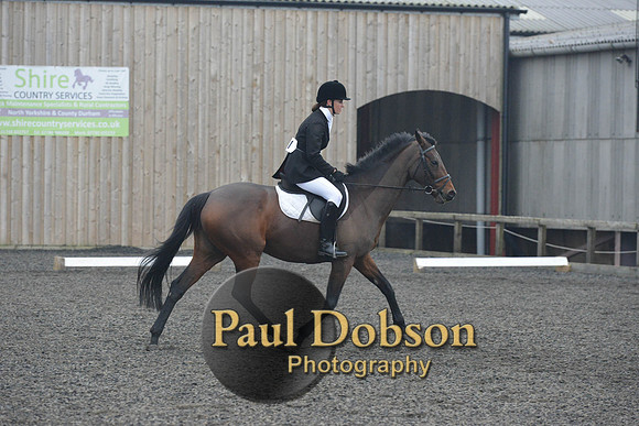 dressage-5869
