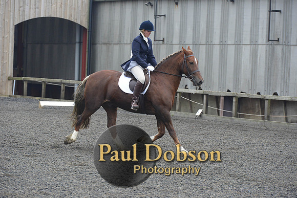 dressage-5430