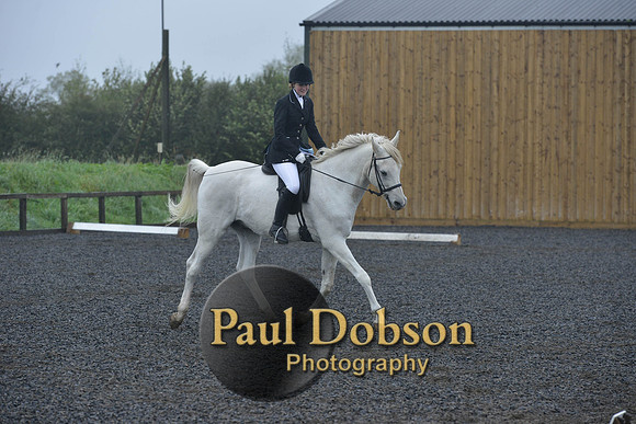dressage-6477
