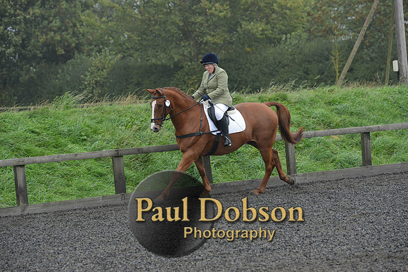 dressage-6304