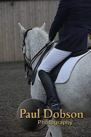 dressage-5731