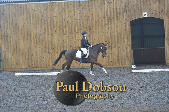 dressage-6755