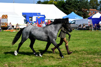 c11_1295