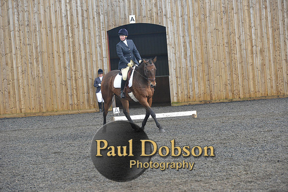 dressage-7259