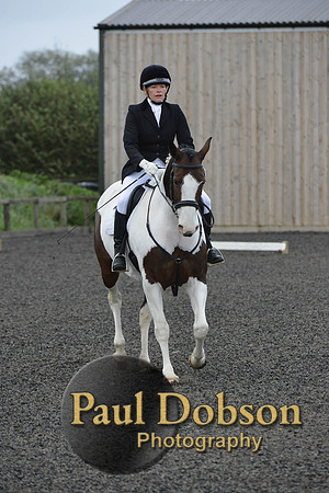 dressage-5925