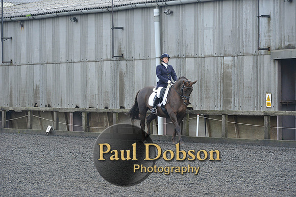 dressage-6892