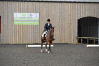 dressage-4103