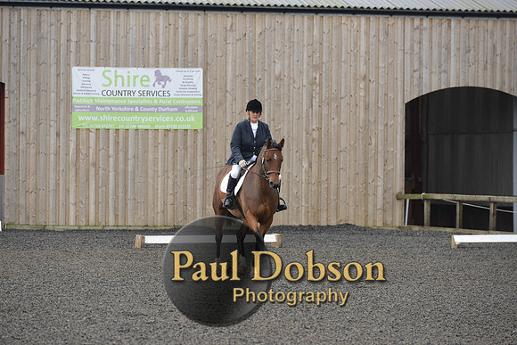 dressage-4103