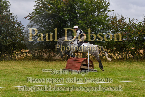 100_8533c