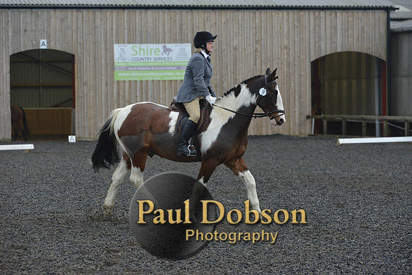 dressage-6328