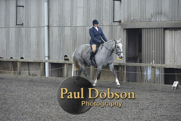 dressage-4906