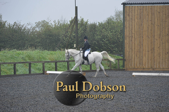dressage-6497