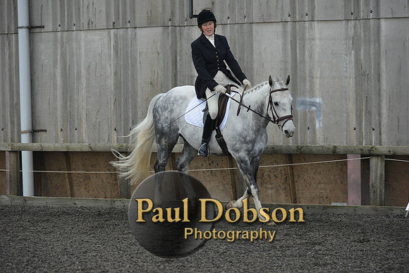 dressage-4550