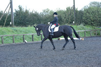 dressage-6848