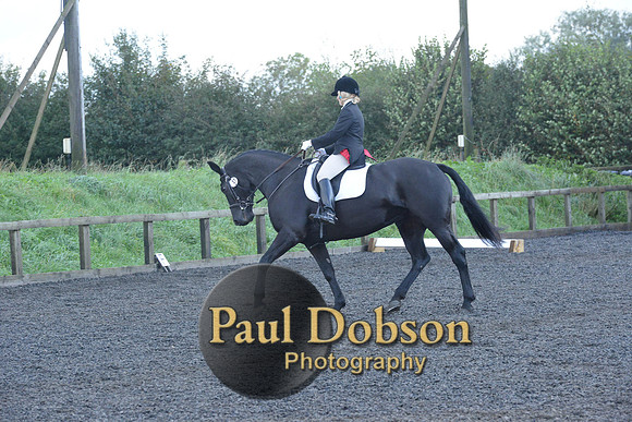 dressage-6848