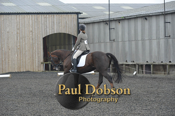 dressage-4890