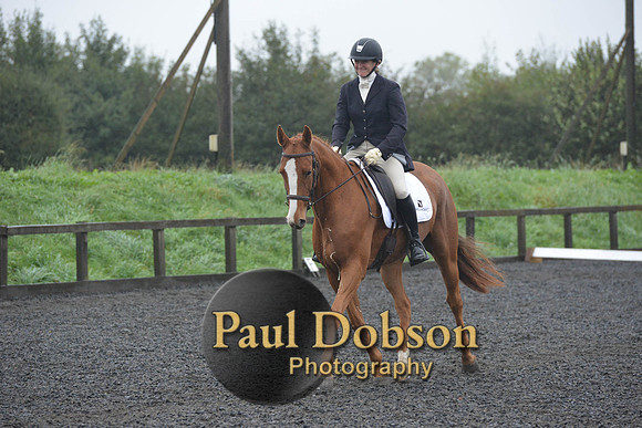dressage-6617