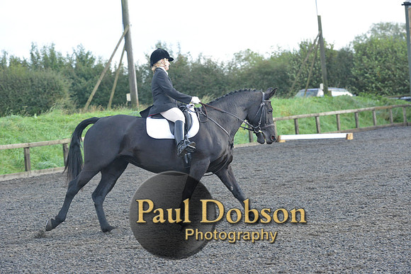 dressage-6872