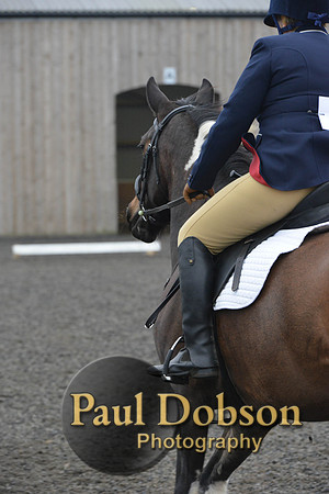dressage-5694