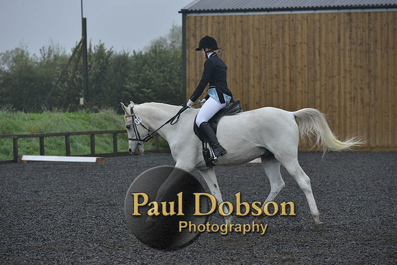 dressage-6493