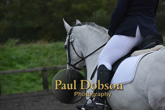 dressage-5955