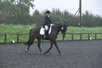 dressage-6584