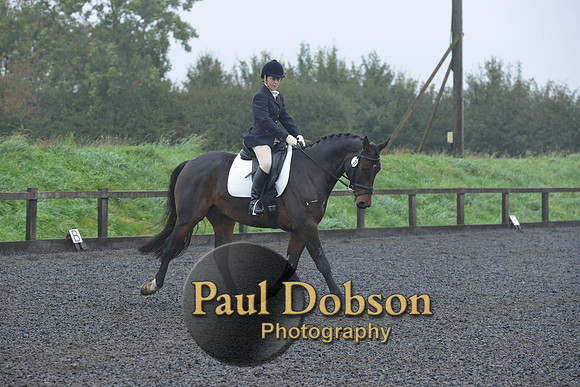 dressage-6584