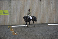 dressage-6290