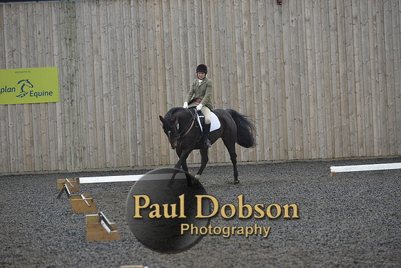 dressage-6290