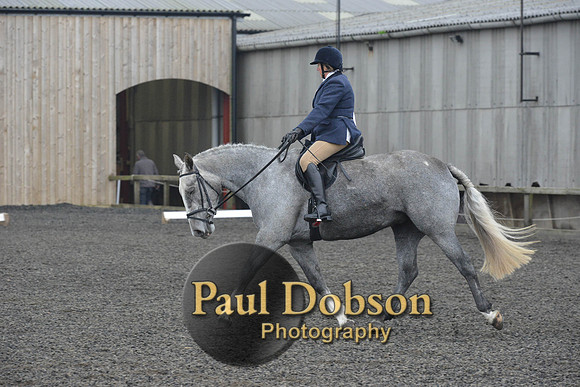 dressage-4907