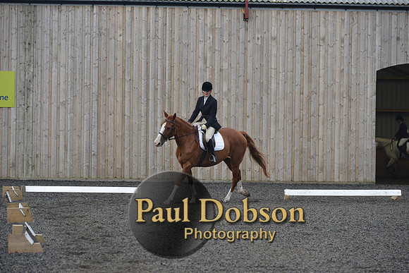 dressage-4515