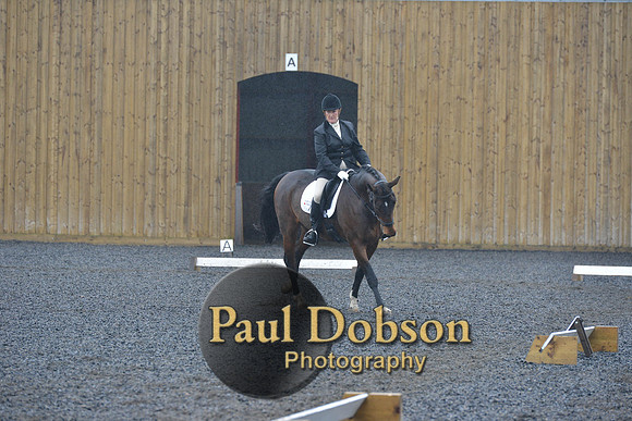 dressage-6446