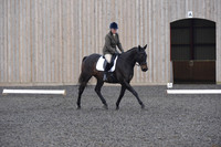 dressage-5179