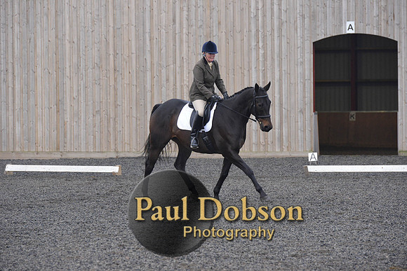 dressage-5179