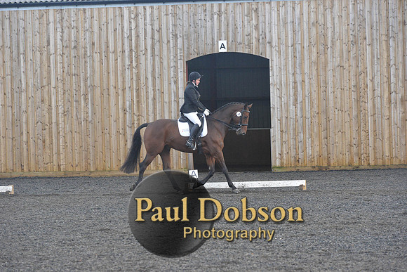 dressage-7320